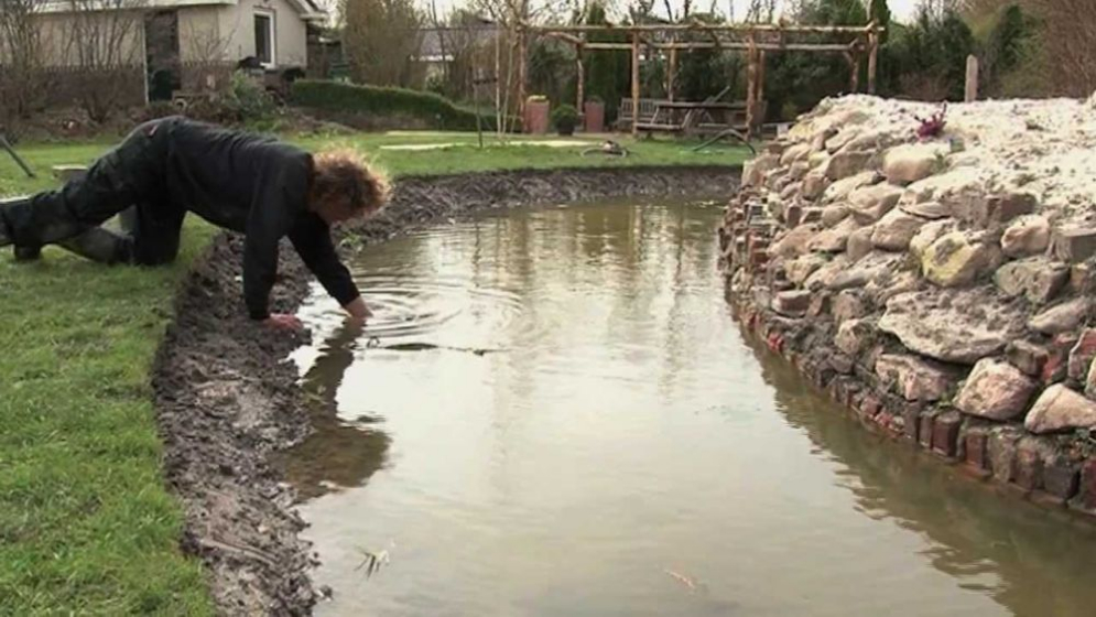 natuurvijver types d'étangs