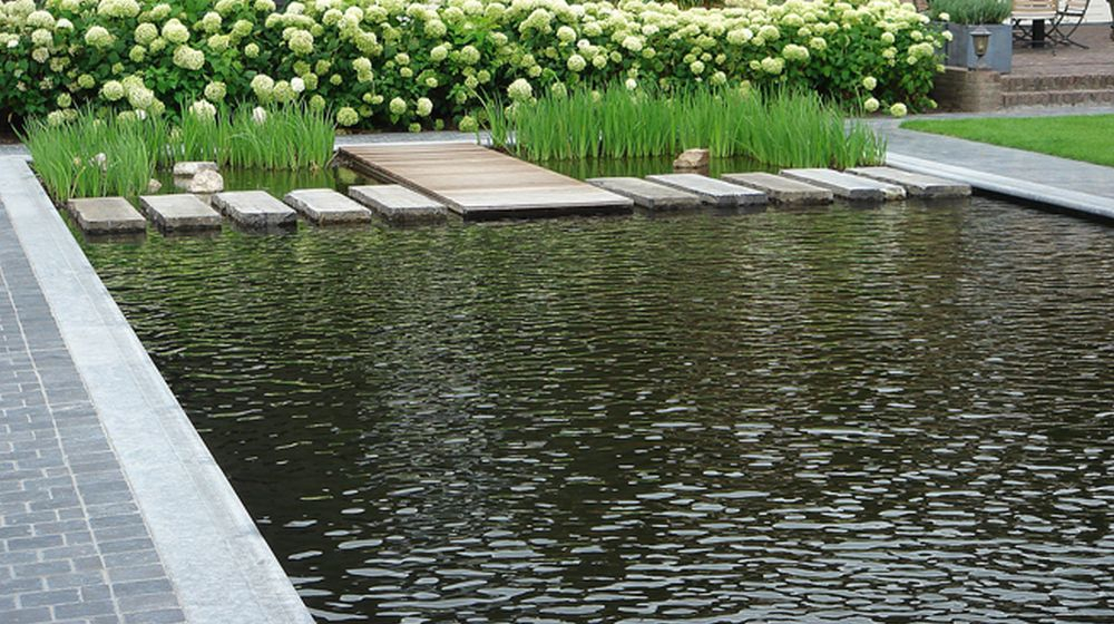 zwemvijver types d'étangs