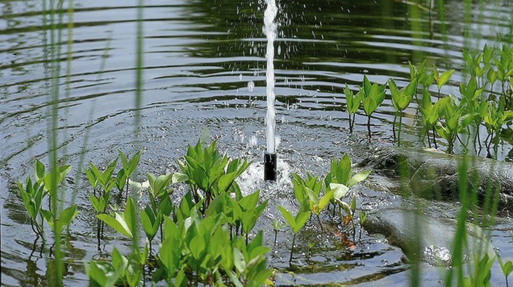 opvoerhoogte pompen en filters