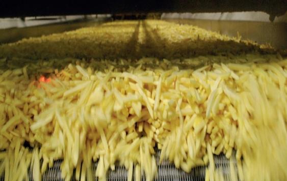 Door de hogere doorvoersnelheid wordt er nu 15 ton aardappelen per uur verwerkt