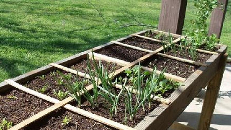 moestuinbak zelf maken