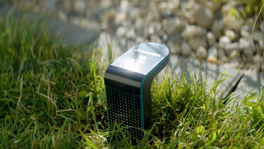 sensor