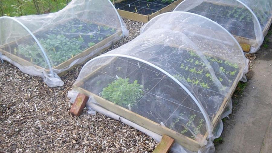 folies in de moestuin kiezen