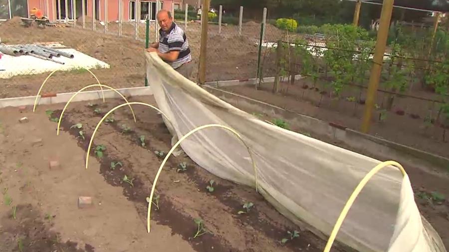 vliesdoek moestuin inrichten