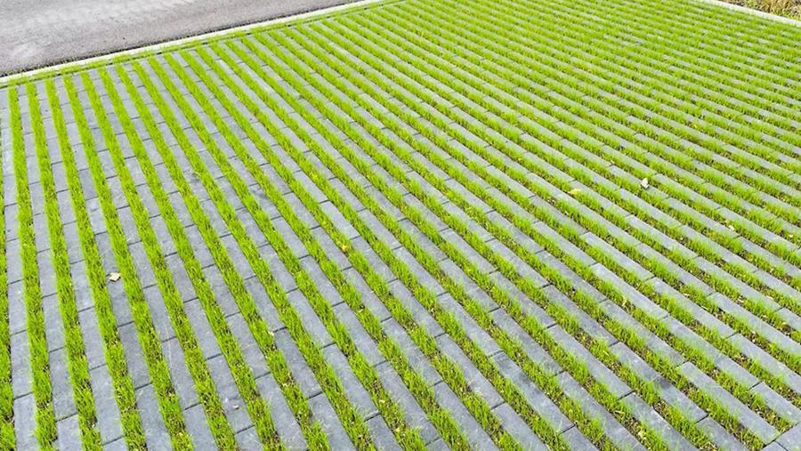 beqstrating met grasvoeg