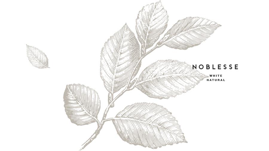 noblesse