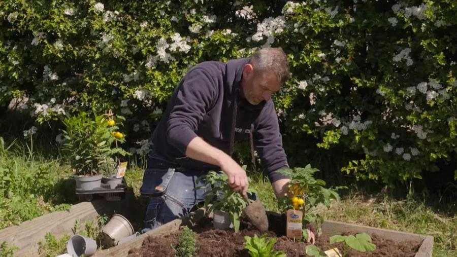Kristof in moestuin 1